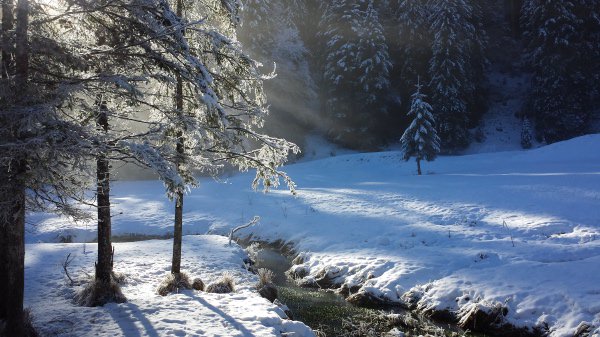 20131228_112131_Fotor